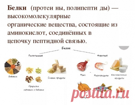 В каких продуктах содержится белок: таблица и список