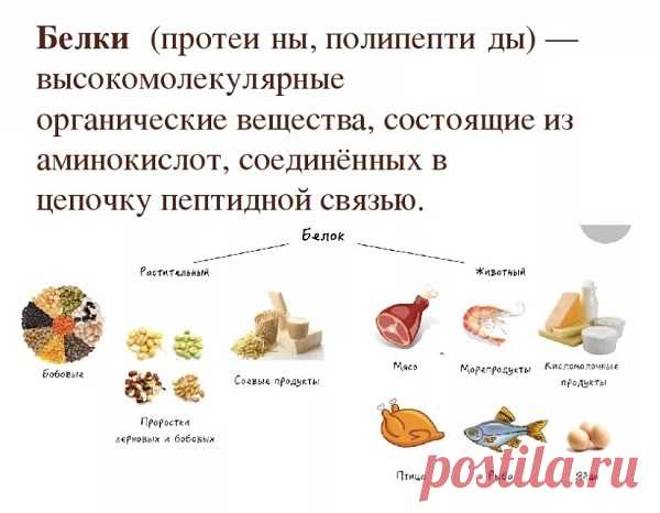 В каких продуктах содержится белок: таблица и список