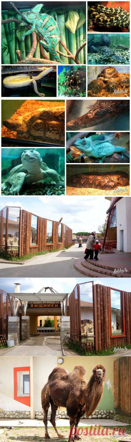 Зоопарк в Минске: москвичи-постояльцы, символ зоосада и сюрпризы для публики - туристический блог об отдыхе в Беларуси