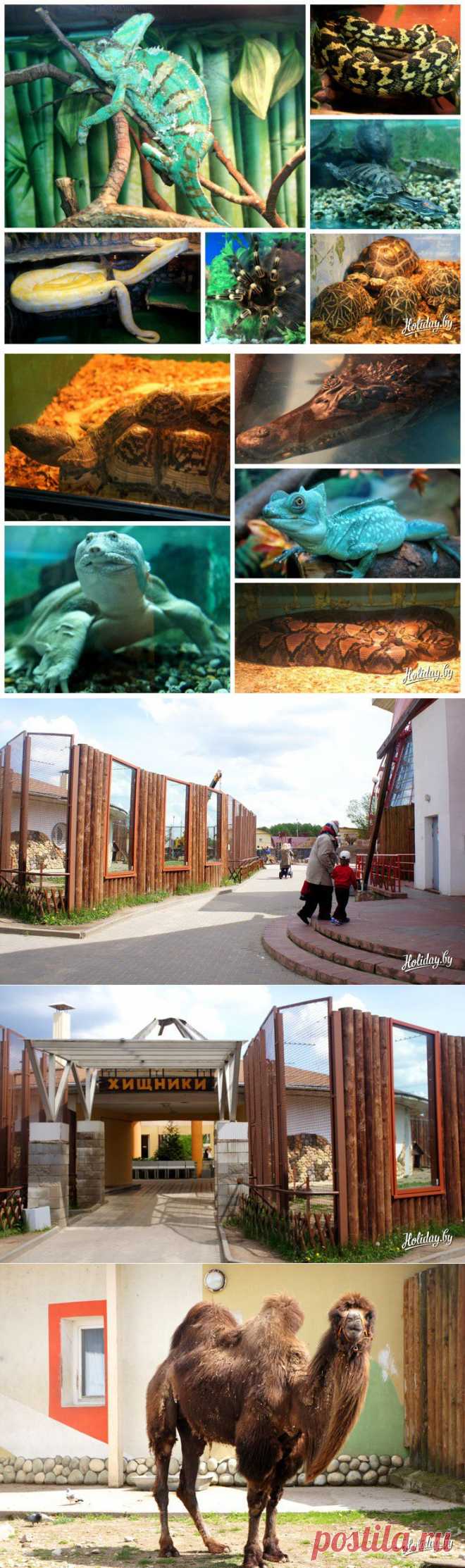 Зоопарк в Минске: москвичи-постояльцы, символ зоосада и сюрпризы для публики - туристический блог об отдыхе в Беларуси