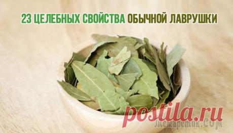 23 полезных свойства обычной «лаврушки»