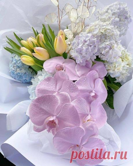 Цветочное настроение🌼
...Что с настроением? Расцвело!..Распустилось!.. Ароматом наполнилось!..
Очень нежная и изысканная композиция! 💞Запахло тонким ароматом весны!