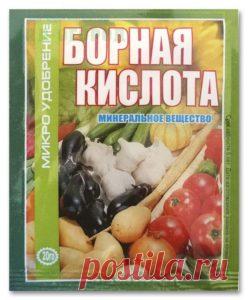 Борная кислота для помидоров, опрыскивание