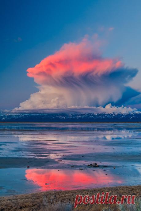 Jim — tulipnight: Sunlights Last Kiss by Scott...