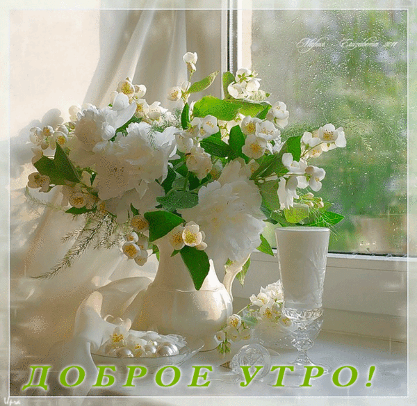 Мой Мир@Mail.Ru