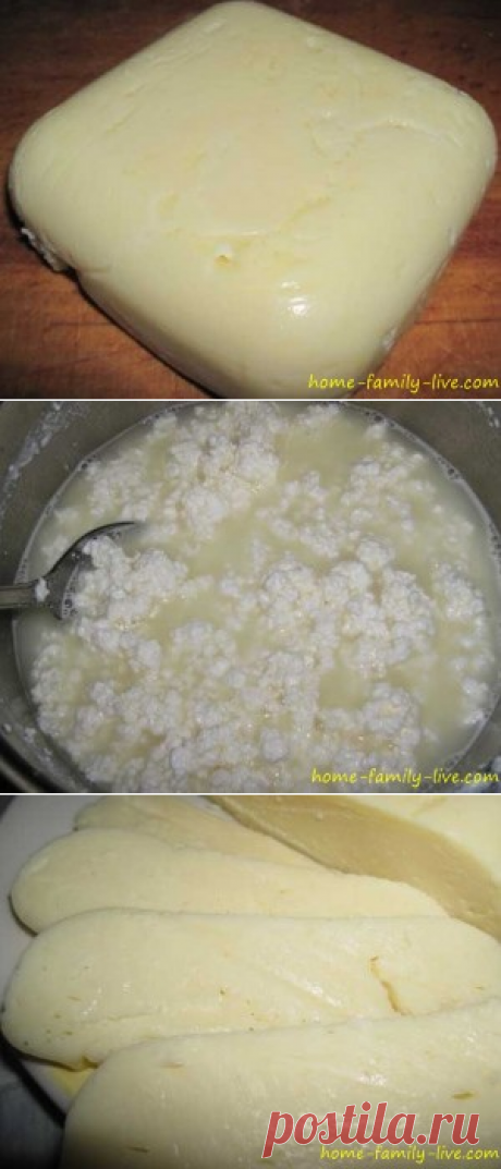 Сыр своими руками/Сайт с пошаговыми рецептами с фото для тех кто любит готовить