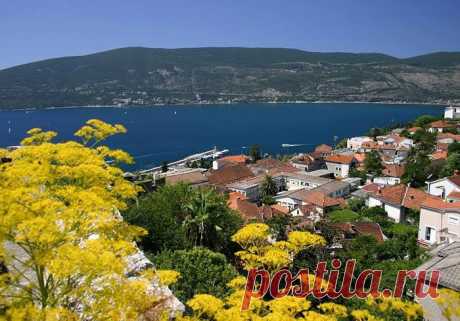 (6) Olga Vasilevskaya
Herceg Novi
