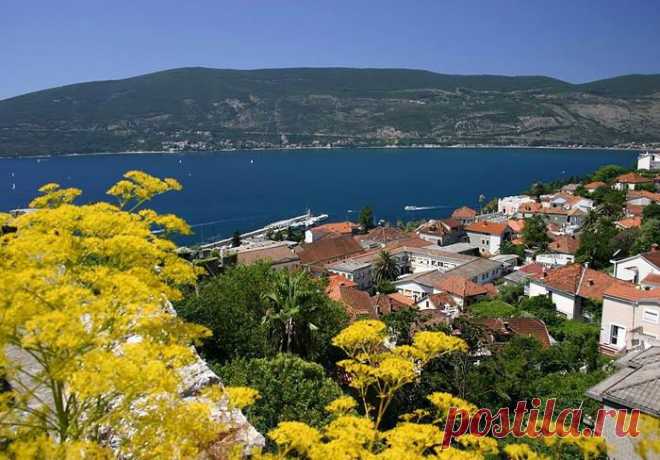 (6) Olga Vasilevskaya
Herceg Novi