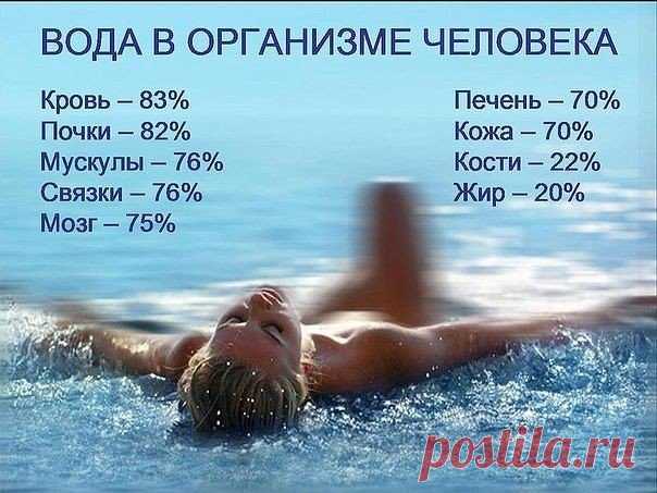 46 причин пить воду

Сорок шесть причин, по которым качественная вода ежедневно необходима Вашему организму

1. Без воды нет жизни.
2. Нехватка воды сначала угнетает, а затем убивает некоторые жиненно важные функции организма.
3. Вода - главный источник энергии, денежный поток тела.
4. Вода генерирует электрическую и магнитную энергию внутри каждой клетки тела - она дает силу жить.
5. Вода - связующий материал архитектурного проекта клеточной структуры.
6. Вода защищает ДН...