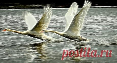(1) Inspirational photos - our latest fabulous images - YouPic