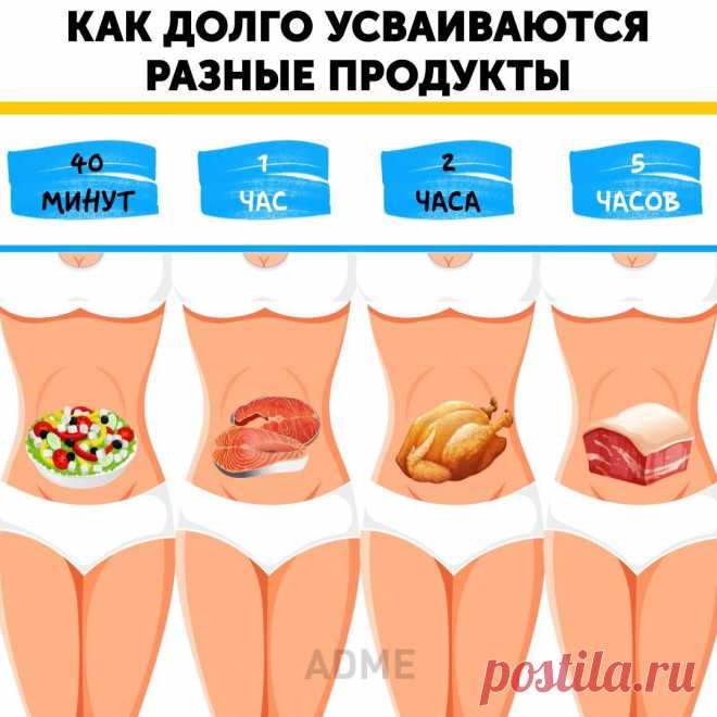 (86) Watch - Интересное