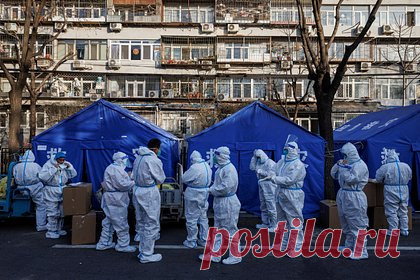 Из-за вируса чикунгунья в одной стране начали вводить ограничения времен COVID-19