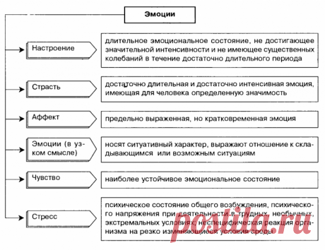 11 лучших способов освободить негативные эмоции через тело Интересные факты обо всём на свете, которых вы, возможно, не знали.