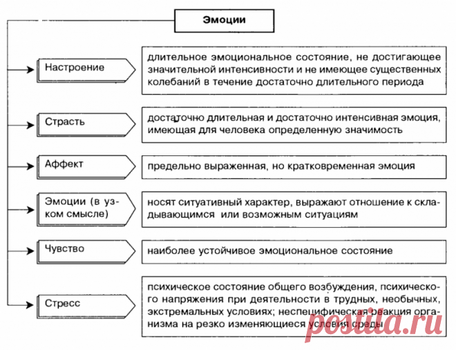 11 лучших способов освободить негативные эмоции через тело Интересные факты обо всём на свете, которых вы, возможно, не знали.