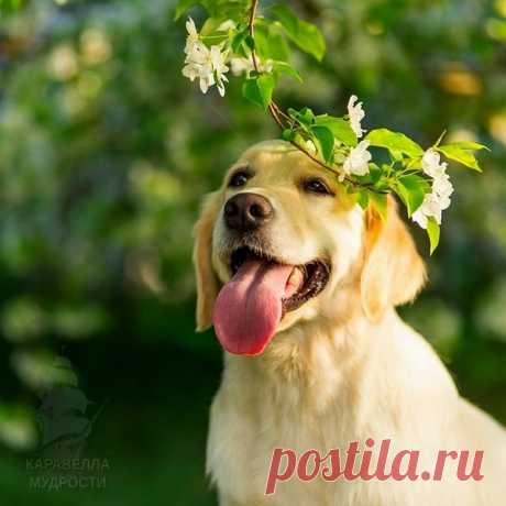 Красивые картинки На вашу страницу {♥2018♥}
