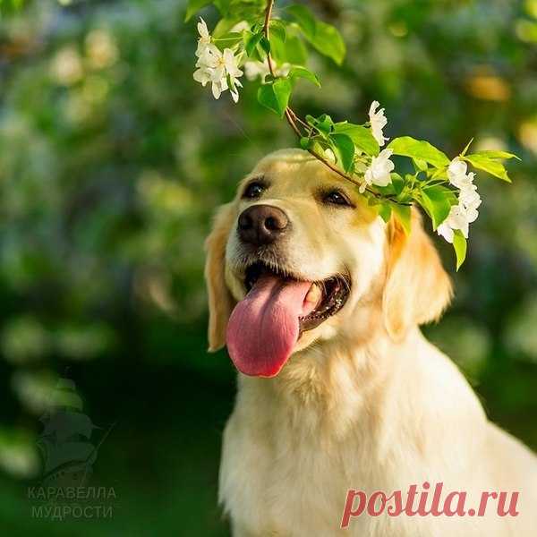 Красивые картинки На вашу страницу {♥2018♥}
