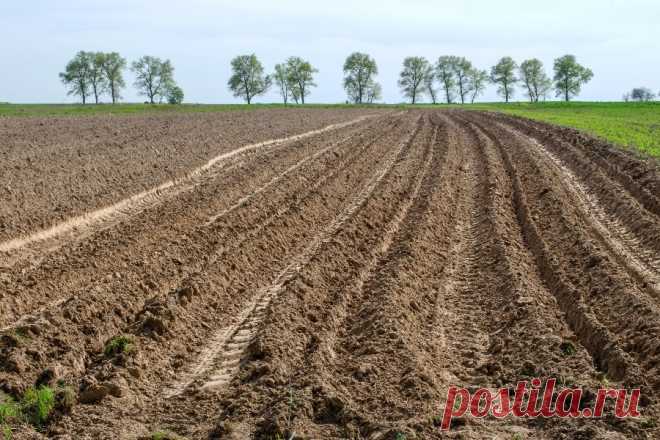 Можно ли работать на огороде на 6 мая: на день святого Георгия Победоносца-2021? - Светлана Красотка, 05 мая 2021