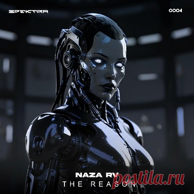 NAZA RV - The Reason
