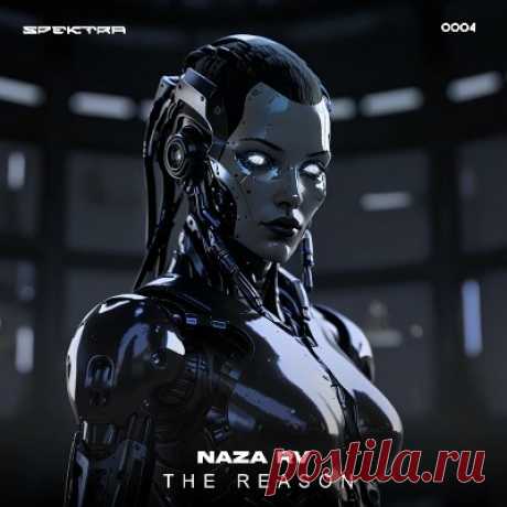 NAZA RV - The Reason