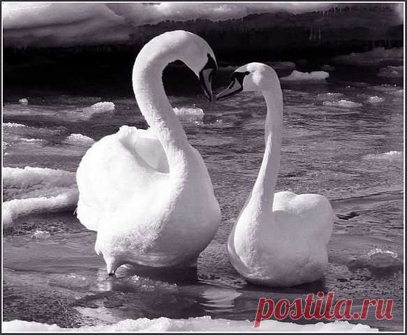 ВОССТАНЬ, ЧЕЛОВЕЧЕСТВО -> стихи и проза на Избе-Читальне