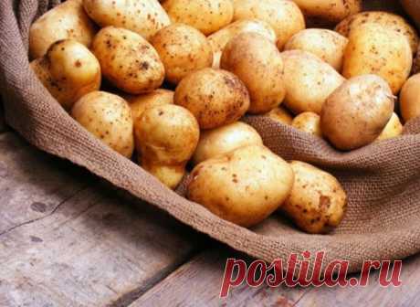 9 советов для  урожая картофеля