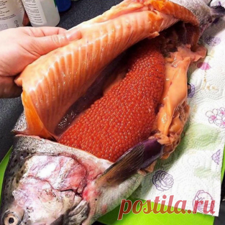 Солим красную икру в домашних условиях