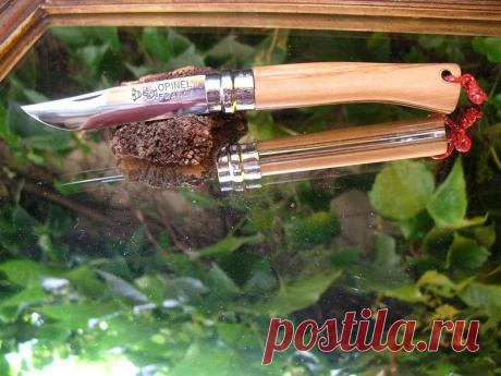 neoczen.org • Voir le sujet - Mes Zopi tunés