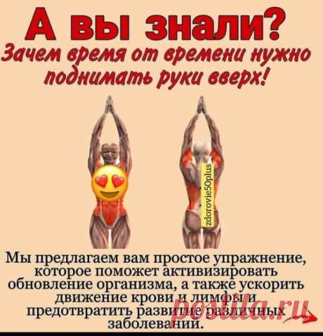 Коллега поделилась этой информацией со мной, я делюсь с вами  

Полезно поднимать руки вверх 

Естественное положение рук человека — опущенные вниз. 
Но, как утверждают физиотерапевты, 
очень полезно в течение дня поднимать их вверх. 

4 ПОЧЕМУ читайте выше 

Знали об этом?
