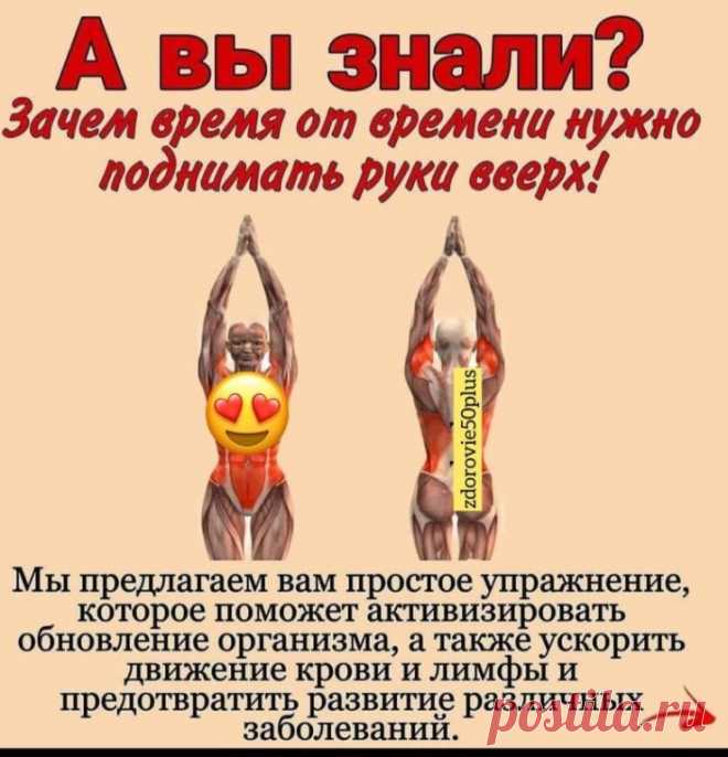 Коллега поделилась этой информацией со мной, я делюсь с вами  

Полезно поднимать руки вверх 

Естественное положение рук человека — опущенные вниз. 
Но, как утверждают физиотерапевты, 
очень полезно в течение дня поднимать их вверх. 

4 ПОЧЕМУ читайте выше 

Знали об этом?