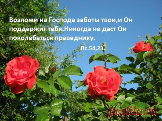 b-903.jpg (698×523)