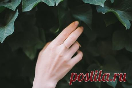 Врачи объяснили причины появления жира на руках. На скопление жира в области рук и плеч влияют генетика и возраст, считают врачи-физиотерапевты Шелби Джонсон и Майкл Фредериксон. Кроме того, по их мнению, у женщин жировая ткань в руках скапливается больше, чем у мужчин. Врачи считают, что спорт может замаскировать эту проблему, но не способен избавить от нее.