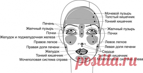 Что говорят морщины на лице о здоровье?