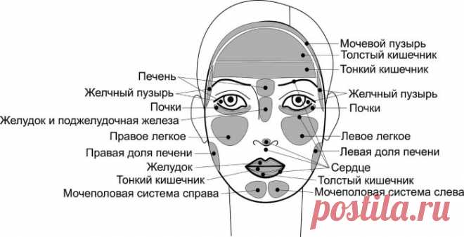 Что говорят морщины на лице о здоровье?