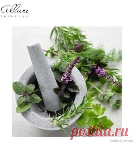 Народная медицина. Целебные cредcтвa от гастрита.