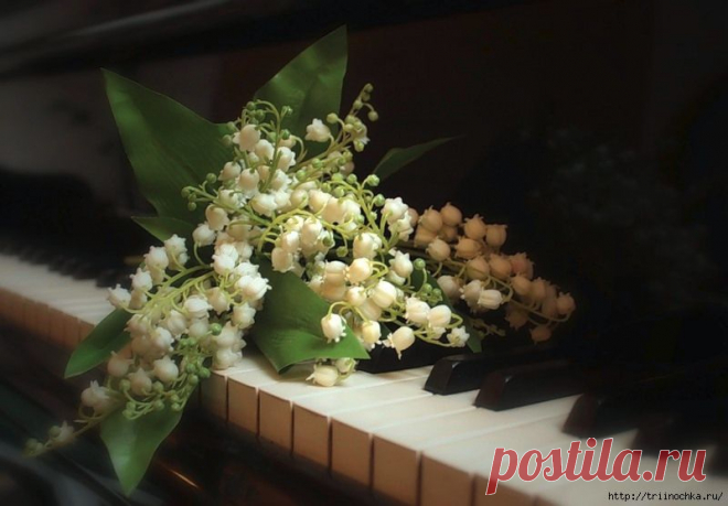 Цветы на клавишах рояля… в глазах две капельки росы….