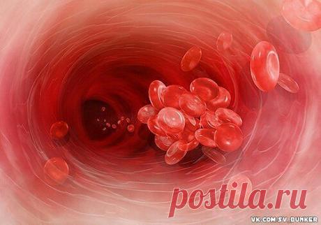 Новости издательства &quot;Родович&quot;. » ОПАСНОСТЬ ГУСТОЙ КРОВИ. Профилактика тромбоза и рецепты для разжижения крови