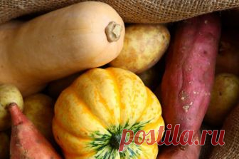 По каким признакам можно узнать сорт тыквы? Говорят, что одни сорта тыквы могут храниться дольше, чем другие. Можно ли понять сорт по внешнему виду плодов?