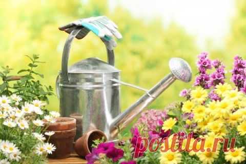 Часто задаваемые вопросы огородников | ЖЕНСКИЙ МИР