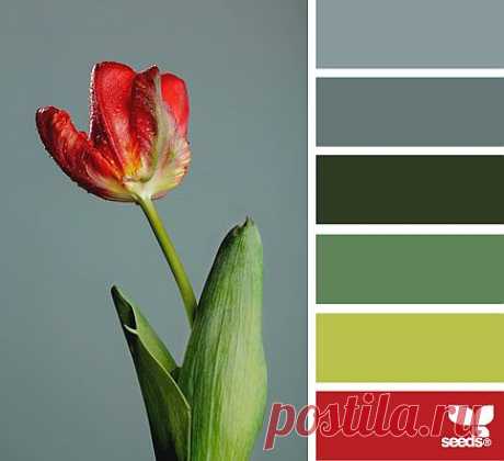 Design Seeds® | find your palette