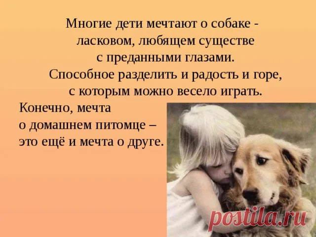 Мечта. Рассказ | Деревенские горожане | Дзен