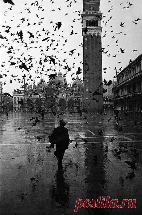 Piazza San Marco with St. Mark’s Basilica in the background, Venice, Italy, 1952. Photo by © Dmitri Kessel. S)|caroline duez приколол(а) это к доске Venise &amp; Burano
