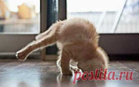 Превратите ежедневное сидение в интернете в постоянный доход. Бесплатное обучение, инструменты, программы. Попробуйте свои силы, ведь для начала работы деньги не нужны! ➡