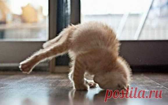 Превратите ежедневное сидение в интернете в постоянный доход. Бесплатное обучение, инструменты, программы. Попробуйте свои силы, ведь для начала работы деньги не нужны! ➡