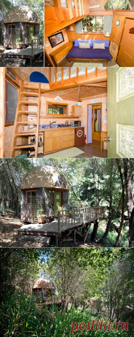 Внутри домика-гриба — самого популярного объекта на Airbnb - ForumDaily