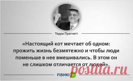 Замечательные цитатыТерри Пратчетта Замечательный писатель-фантаст Терри Пратчетт  часть своих произведений посвятил котам. Именно поэтому пост состоит из двух частей. Первая составлена из цитат посвящённых котам и кошкам, а вторая - ра...