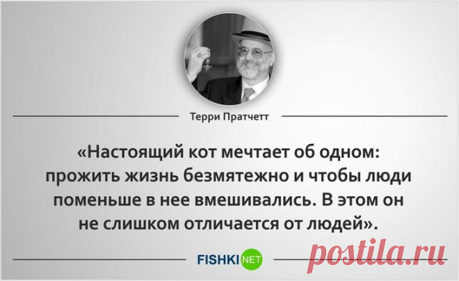 Замечательные цитатыТерри Пратчетта Замечательный писатель-фантаст Терри Пратчетт  часть своих произведений посвятил котам. Именно поэтому пост состоит из двух частей. Первая составлена из цитат посвящённых котам и кошкам, а вторая - ра...