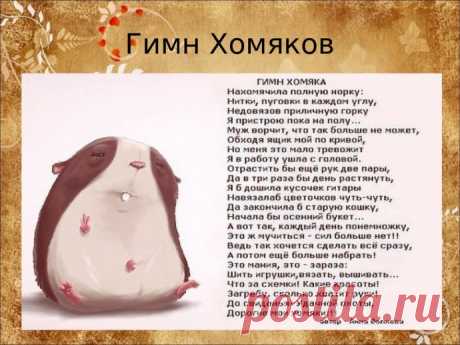 Гимн &quot;хомяков&quot;, оказывается, он существует!