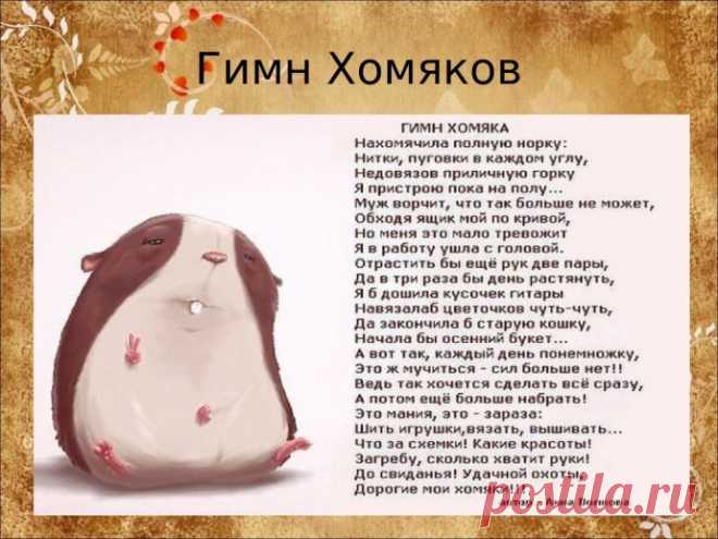 Гимн "хомяков", оказывается, он существует!