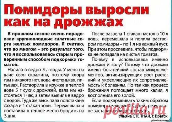 (88) Одноклассники