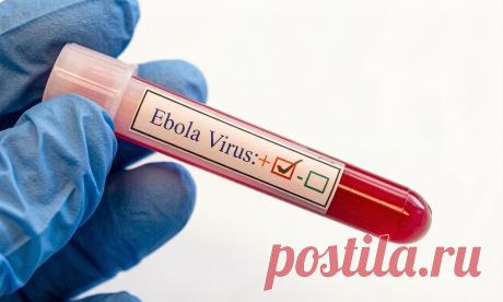 Что такое Эбола? | PortalBio